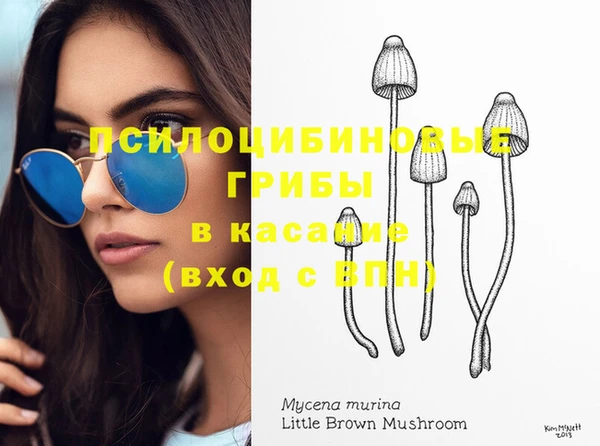 Альфа ПВП Няндома