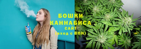 Альфа ПВП Няндома